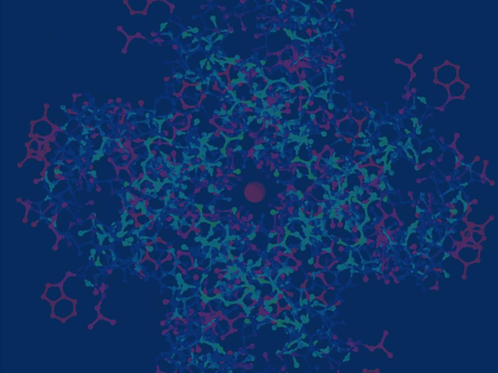 Potassium Channel Theory Of Hair Loss - Oxford Biolabs®